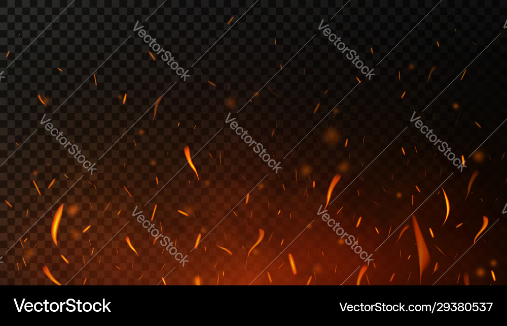 Feuersparks auf dunklen transparenten Hintergrund Vektorbild