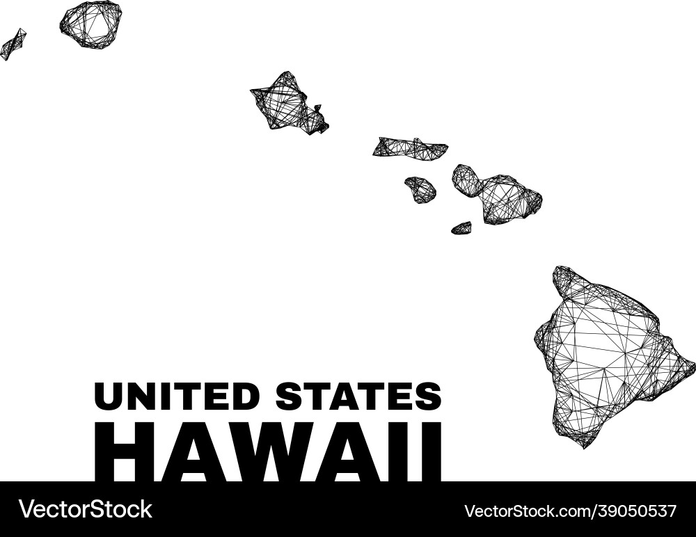 Linear irregular mesh hawaii state map vector image