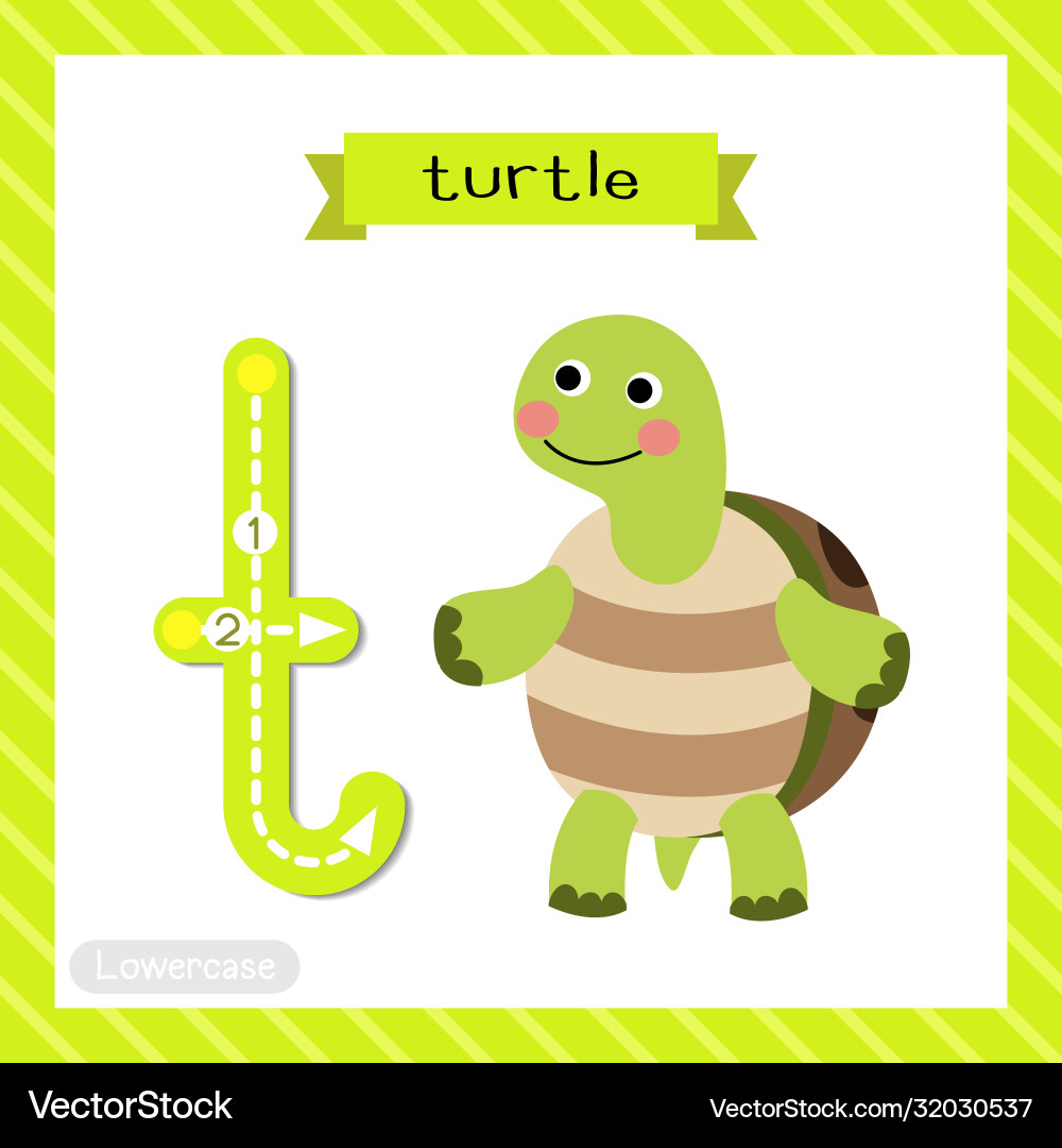Lowercase T Turtle Tracing Card Vector Image