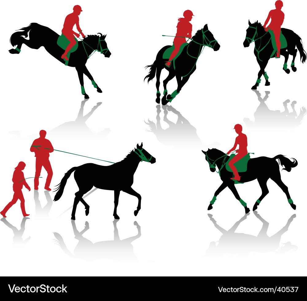 Silhouette Equestrian Rider vector image