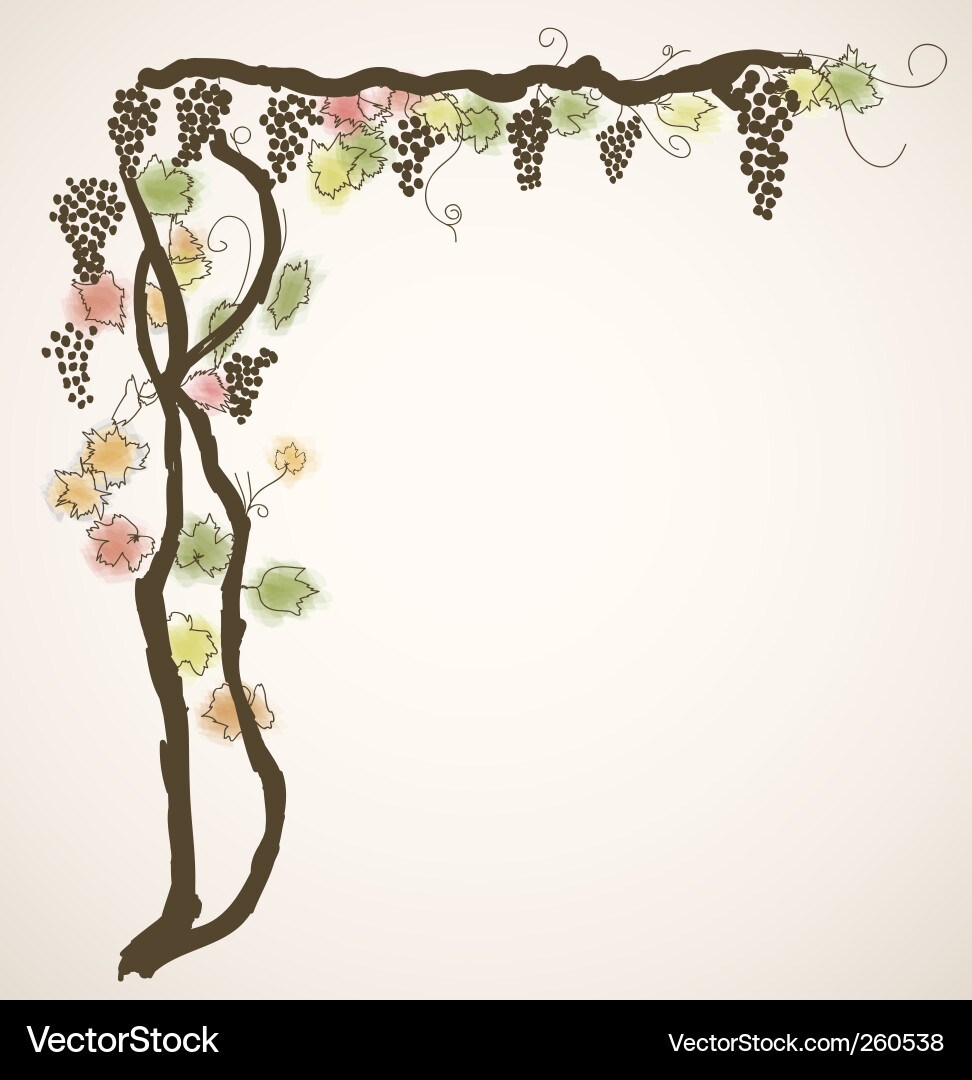 Grapevine Cluster Vector Image