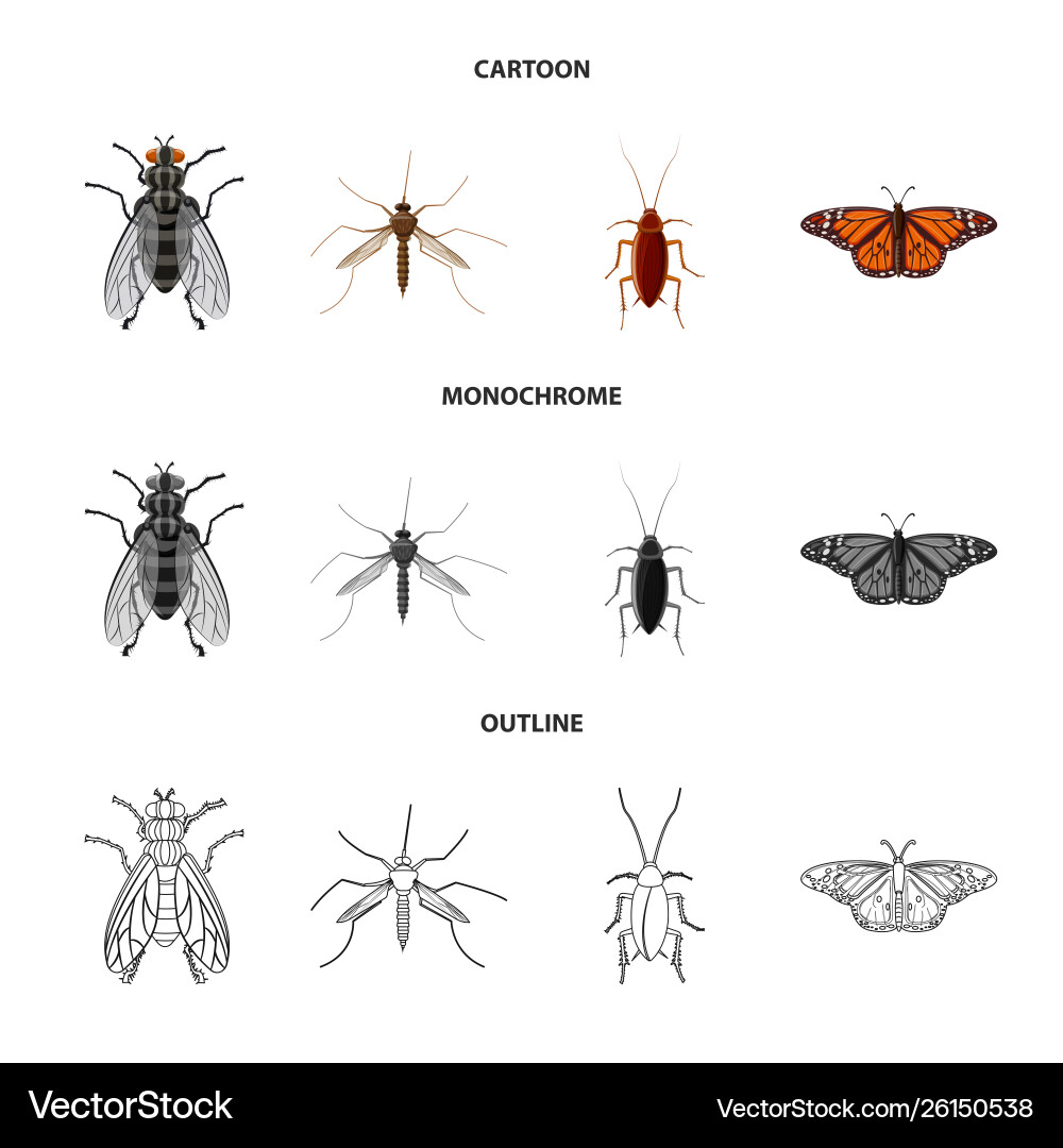 Isolated object insect and fly logo collection Isolated object insect and fly logo collection vector image