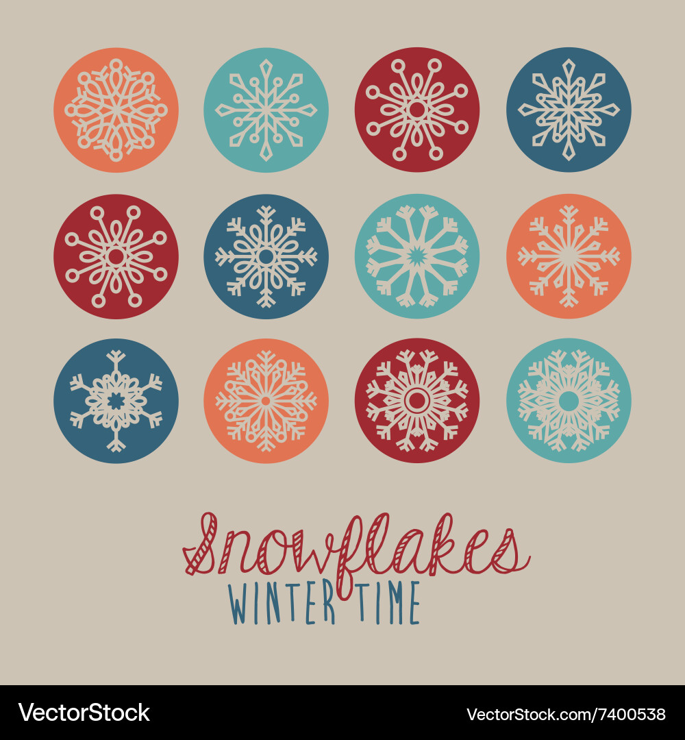 Snowflake concept design vector image