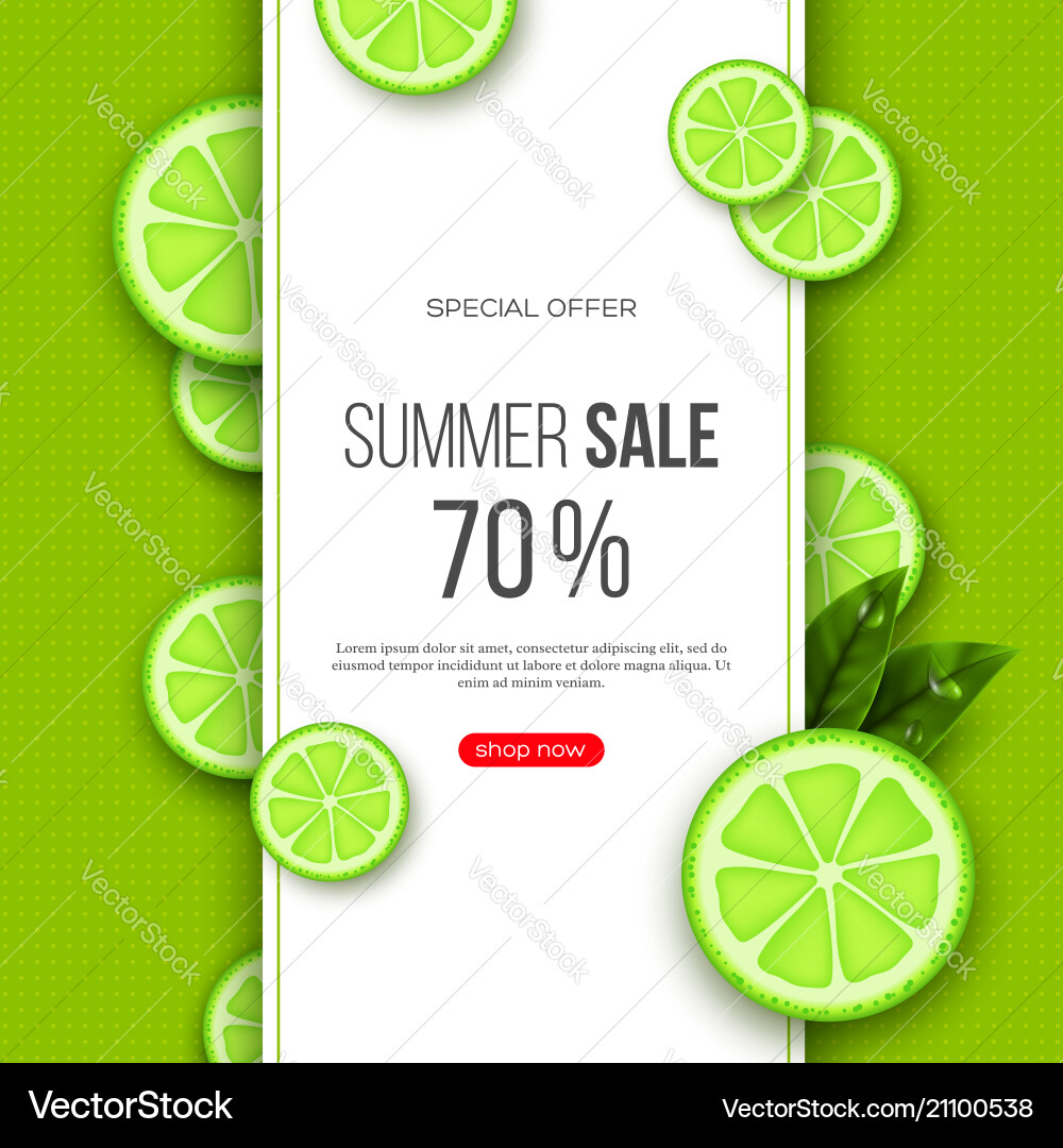 Summer sale banner with sliced lime pieces leaves Summer sale banner with sliced lime pieces leaves vector image