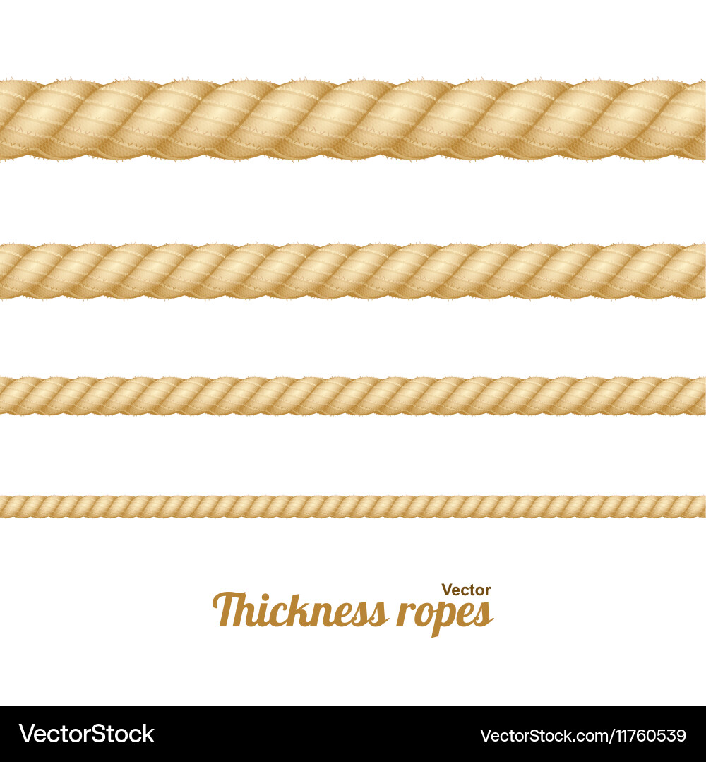 Nautical Rope Set - Various Thicknesses – Royalty-Free Vector | VectorStock, image size:1000x1079