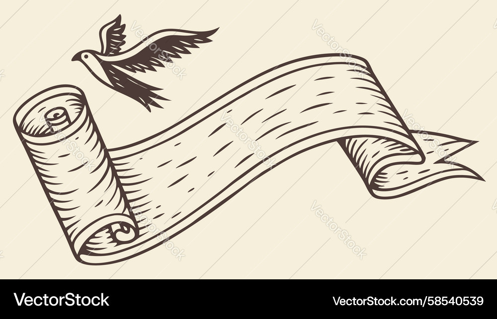 Nautical Scroll with Bird Vector Image
