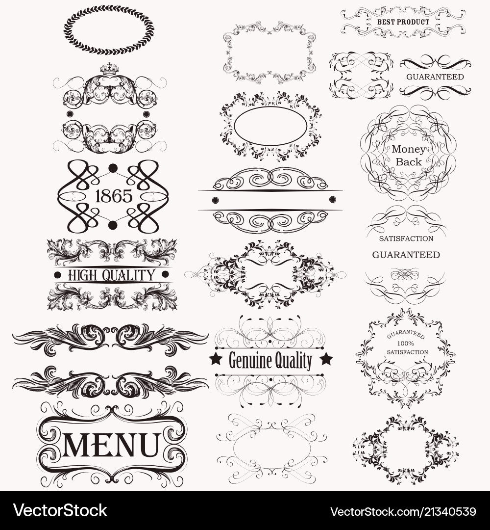 Set or collection of calligraphic elements vector image