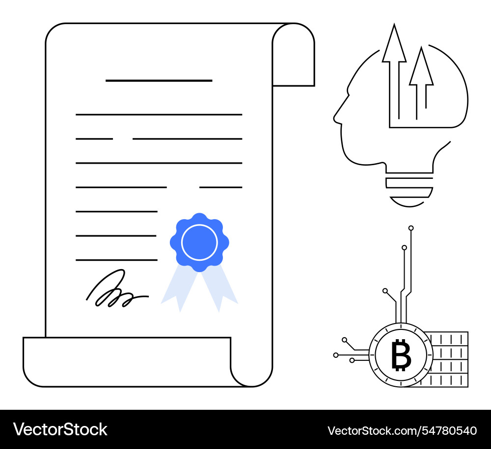 Certification scroll with bitcoin and innovation vector image