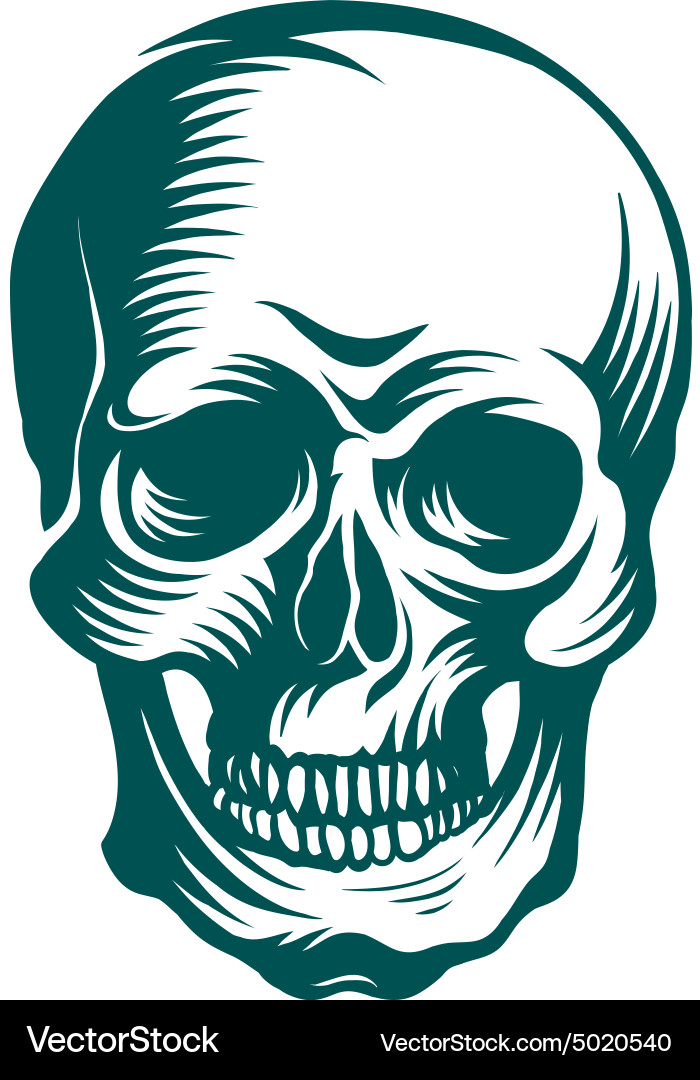 Hand-drawn art of a skull Vector Image