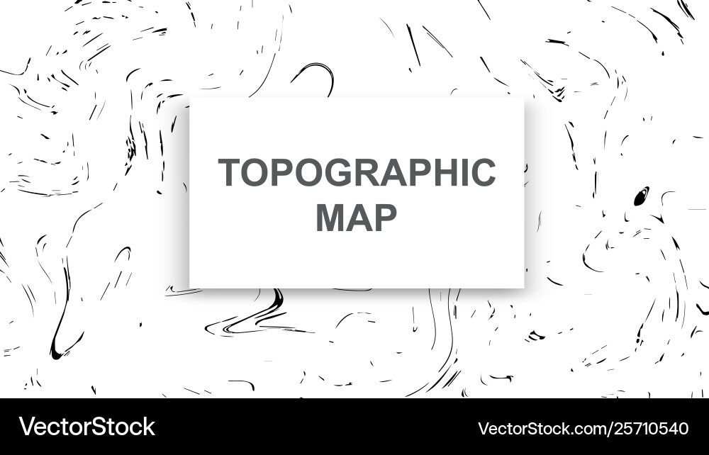 Topographic map contour background line Topographic map contour background line vector image