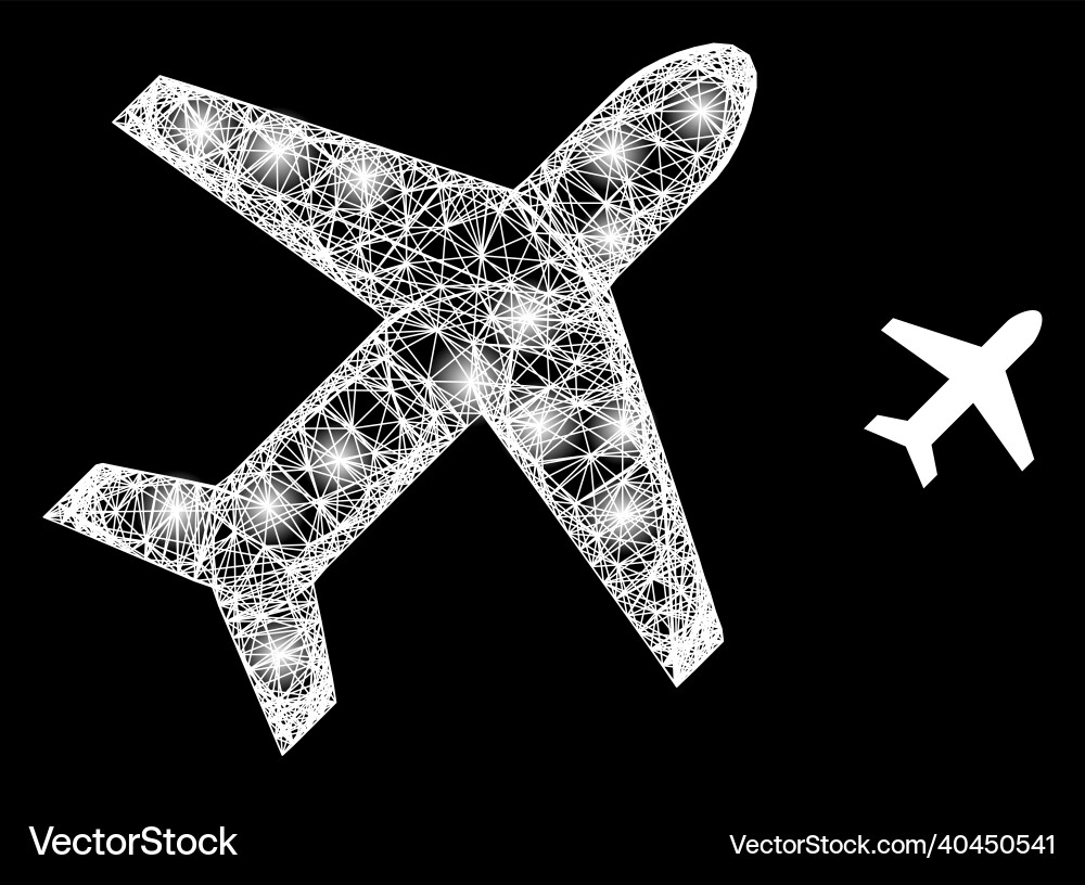 Glowing net mesh airplane with light spots vector image