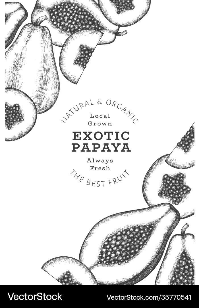 Hand gezeichnete Skizze Stil papaya Banner bio Hand gezeichnete Skizze Stil papaya Banner bio vektorbild