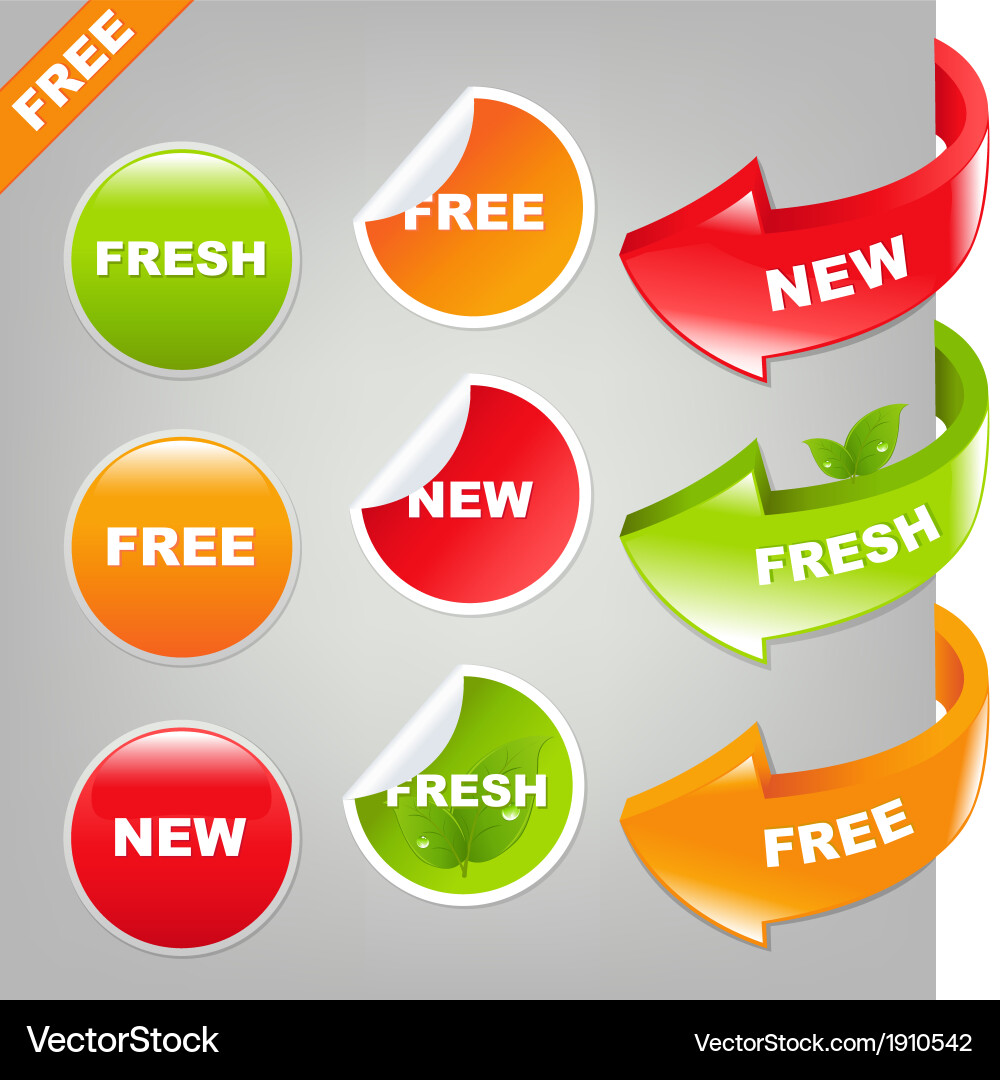 Button Set Collection vector image