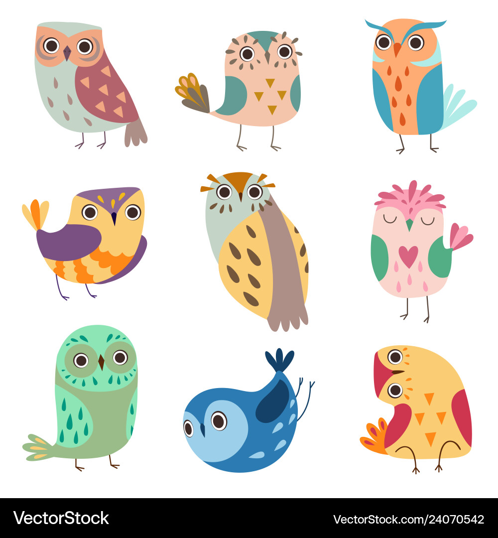 Collection of cute owlets colorful adorable owl Collection of cute owlets colorful adorable owl Vector Image