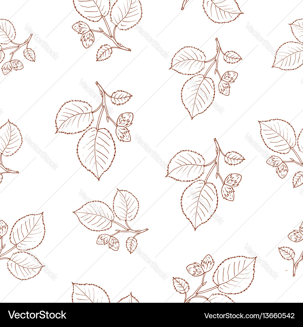 Hazelnut Tree Branch Pattern vector image