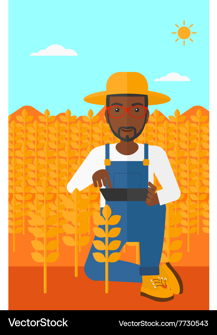 Man with tablet computer on field vector image