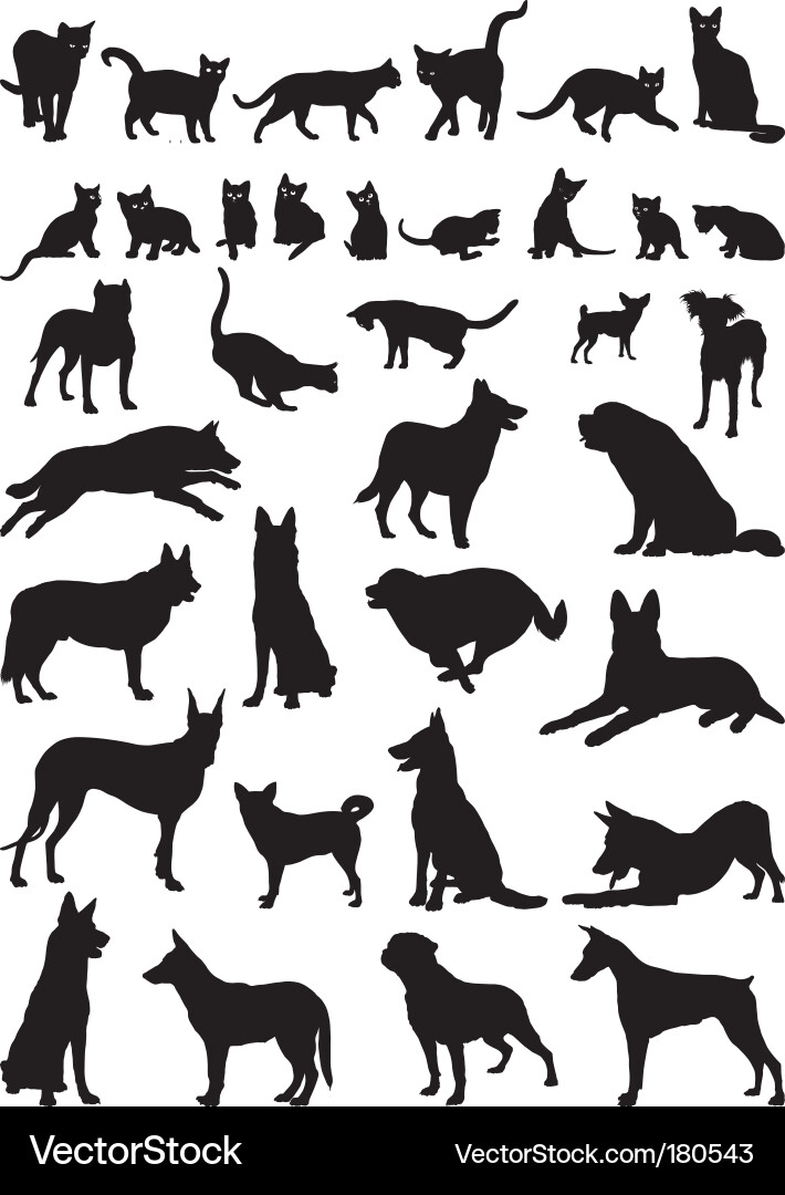 Silhouetten von Katzen und Hunden Vektorbild