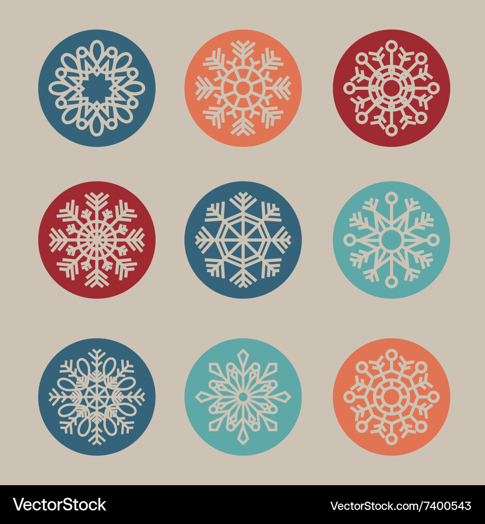 Snowflake concept design vector image