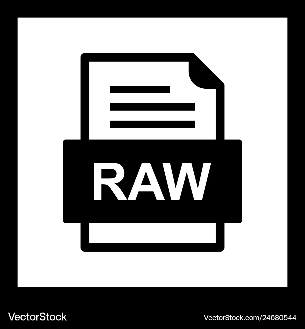Raw file document icon Vector Image
