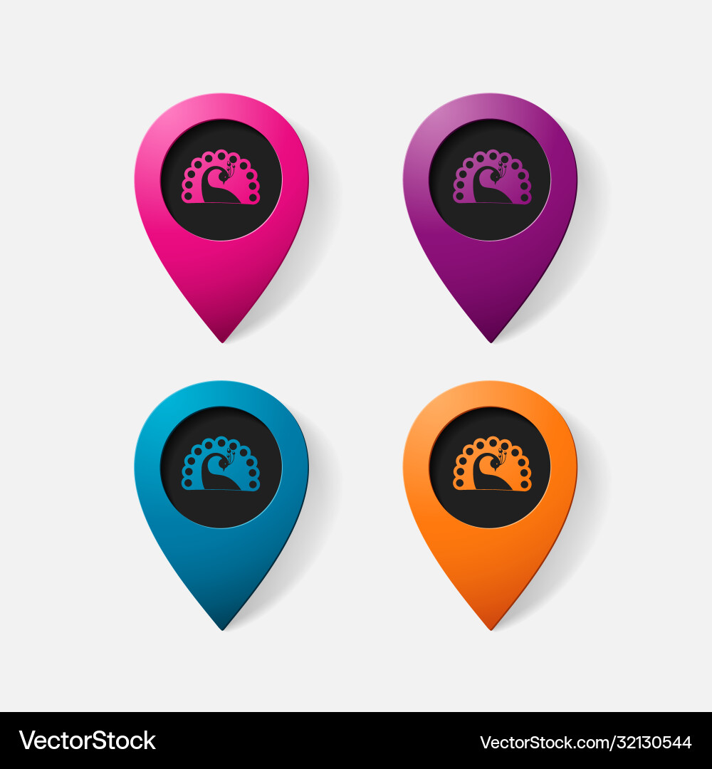 Realistic color pointer peacock vector image