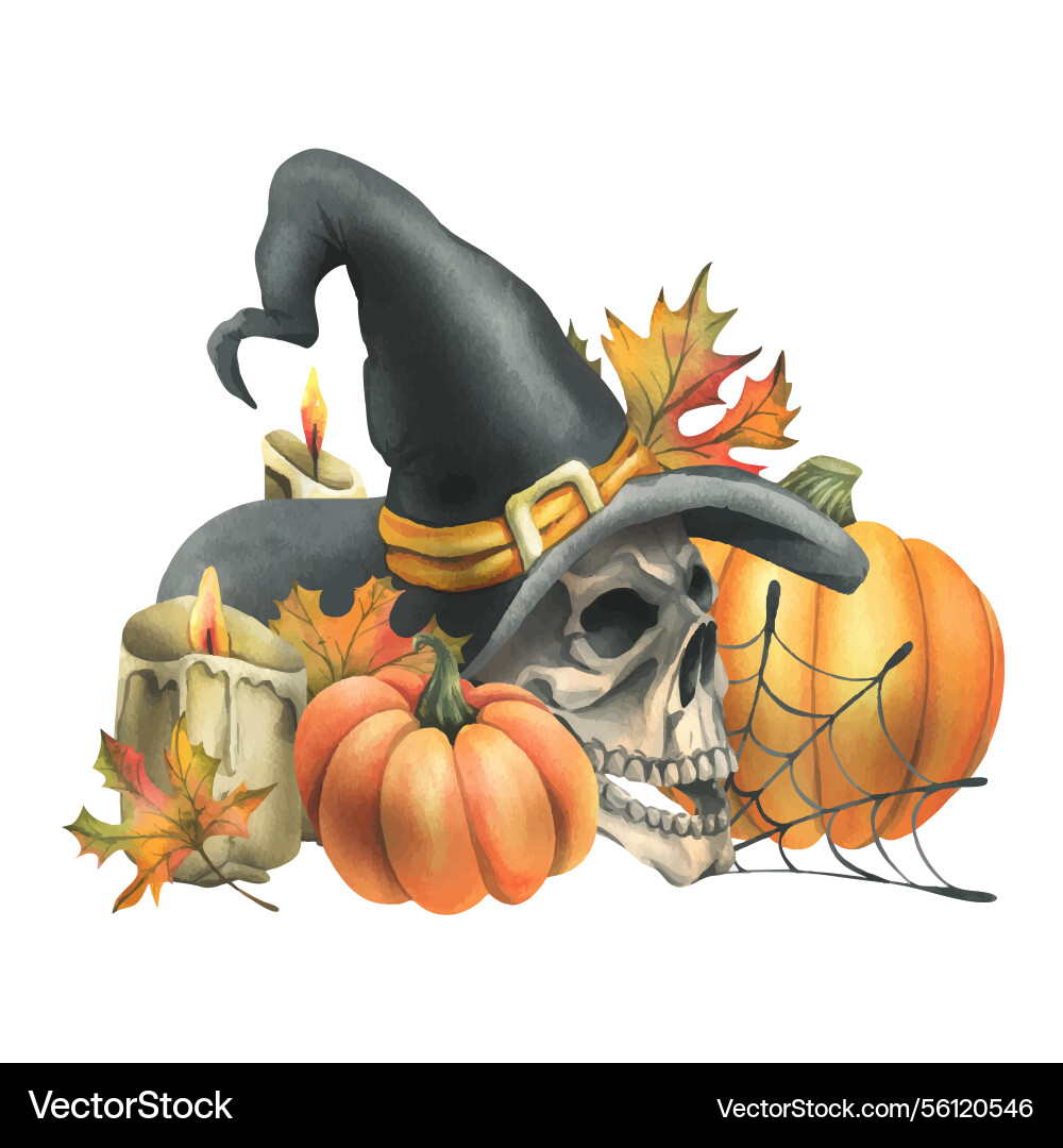 Human skull in a black witch hat with orange Human skull in a black witch hat with orange vector image