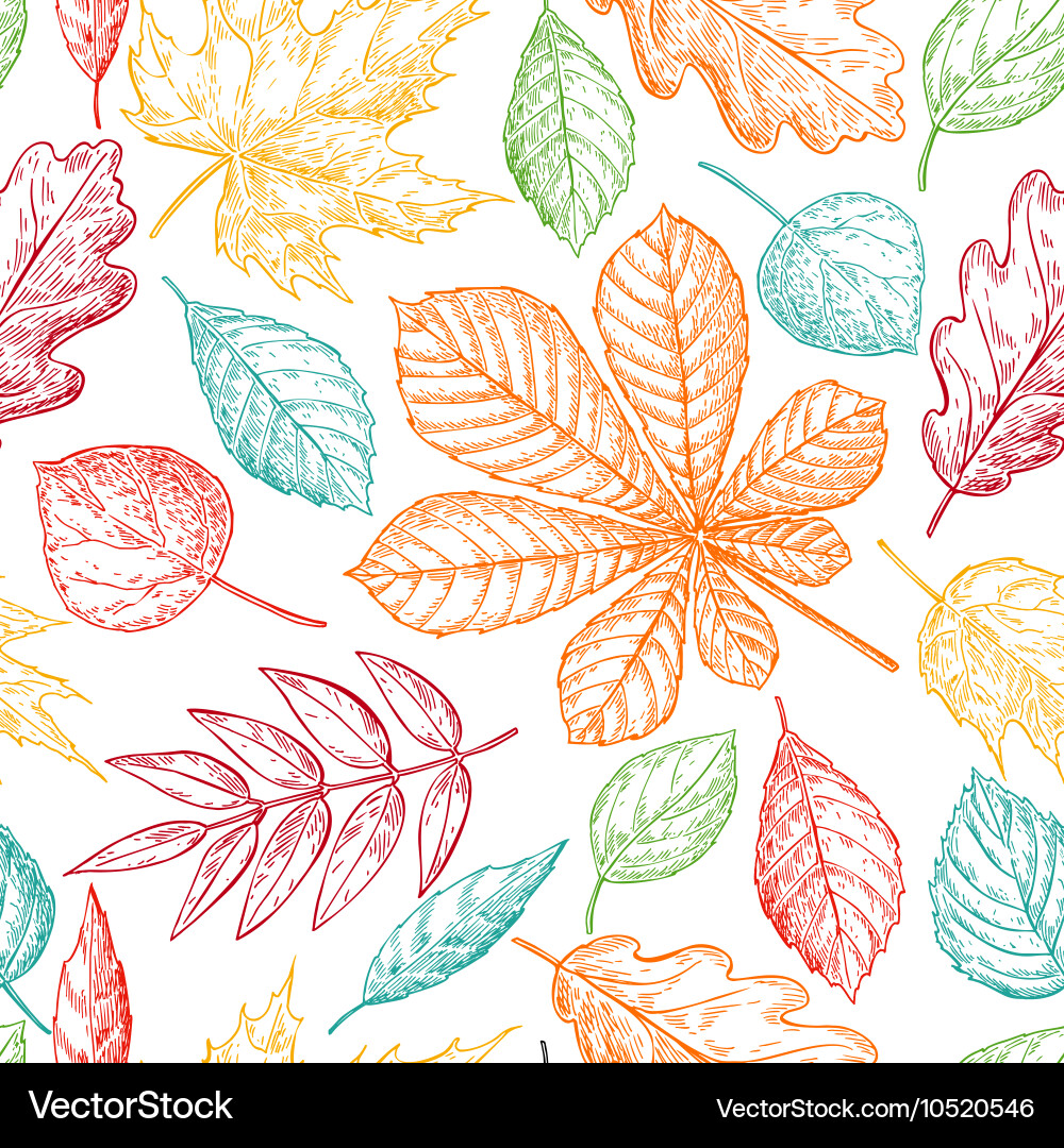 Seamless pattern with colorful autumn vector image