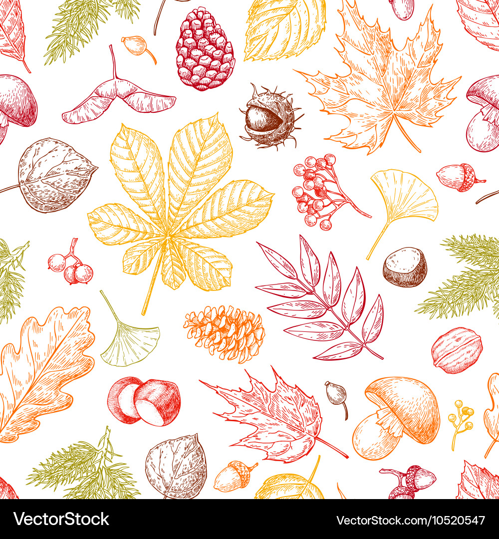 Autumn seamless pattern with leaves Vector Image