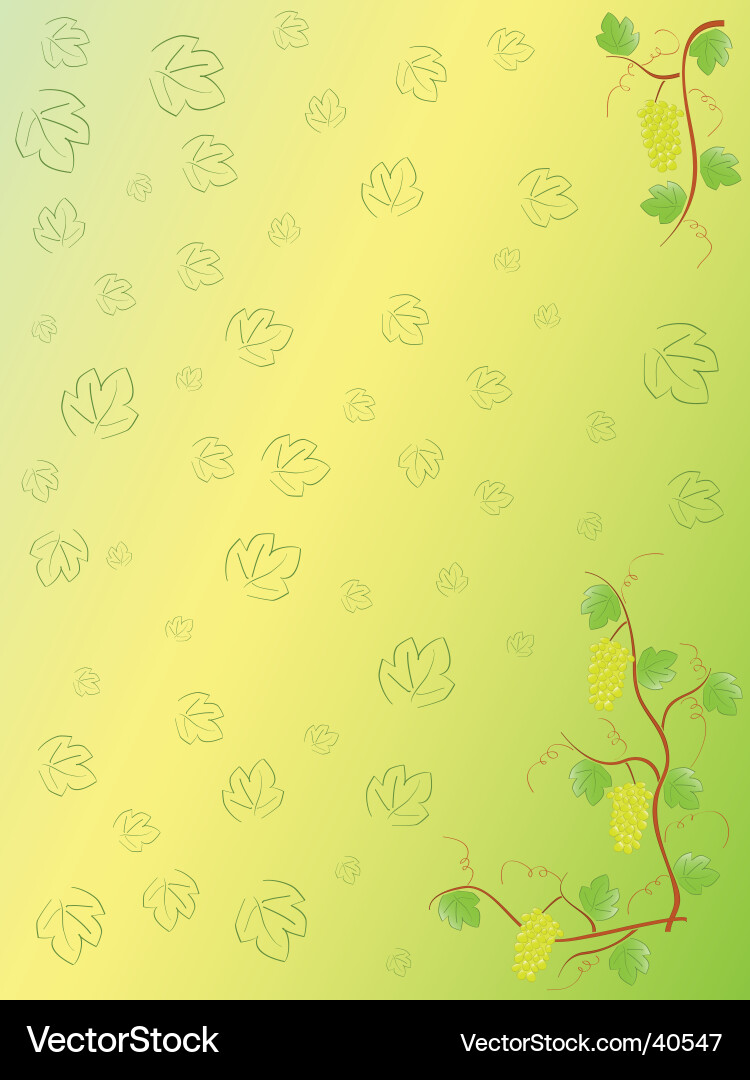 Grape Vector Image