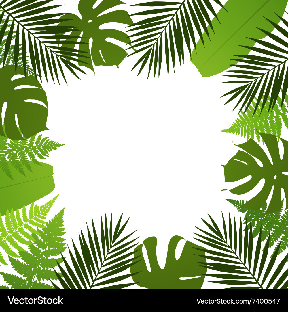 Tropical leaves background frame Royalty Free Vector Image