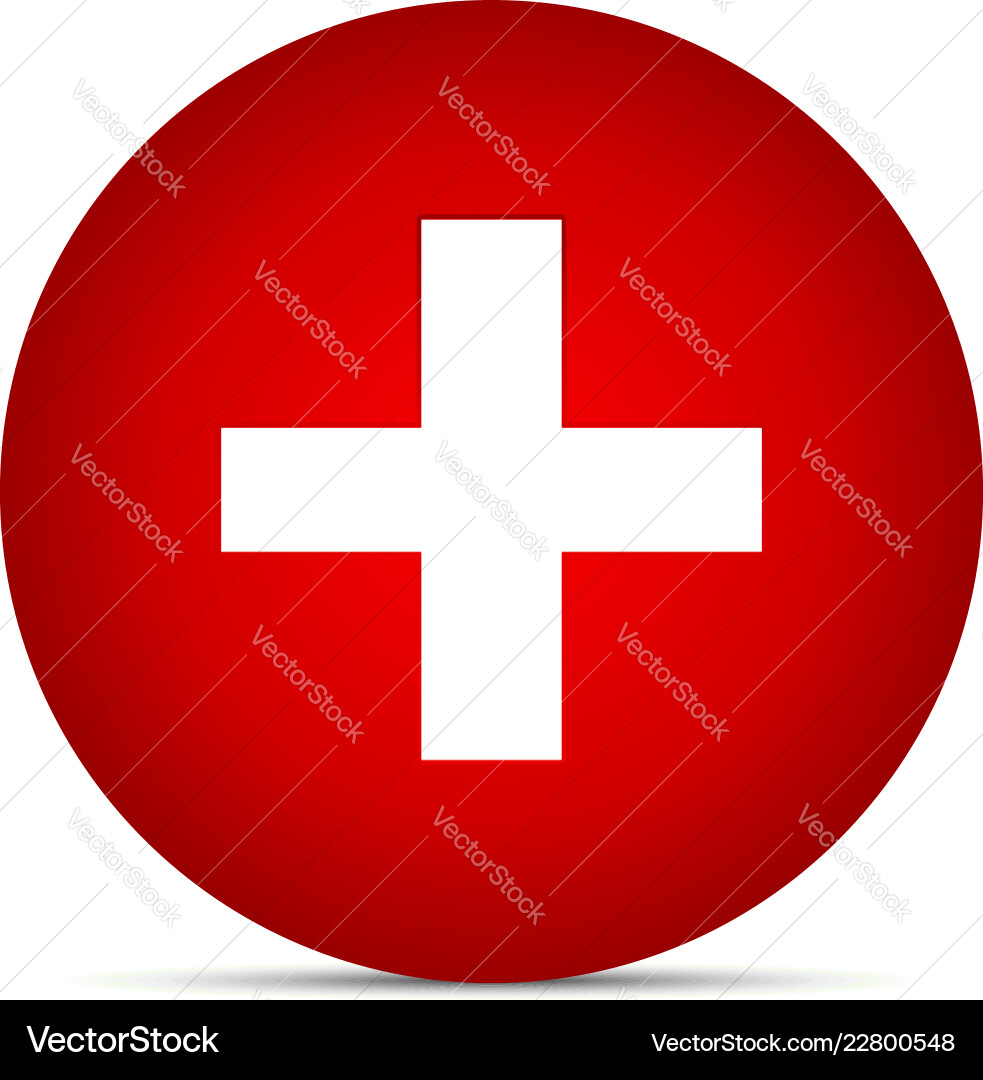 Plus add cross sign or symbol in a red circle Vector Image