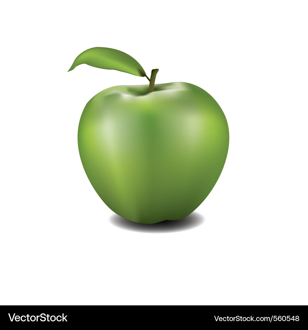 Single Red Apple with Reflection Vector Image