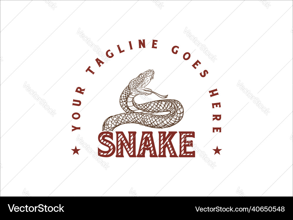 Vintage retro viper cobra anaconda boa snake logo Vintage retro viper cobra anaconda boa snake logo vector image