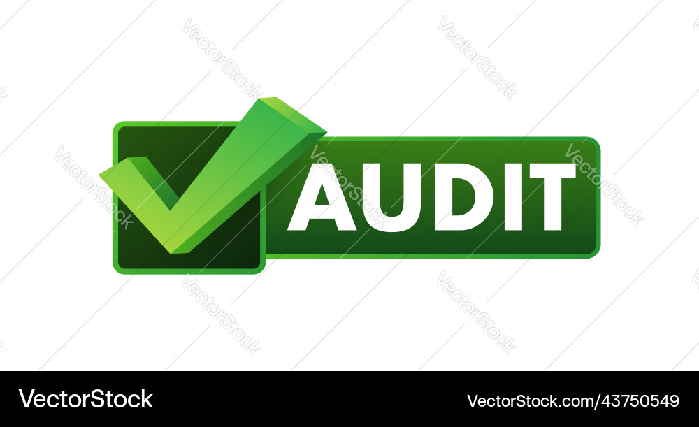 Auditing concepts tax process data analysis Auditing concepts tax process data analysis vector image