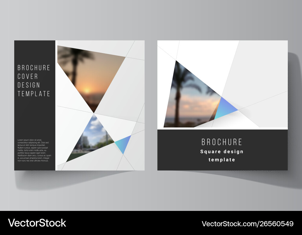 Minimal layout two square format Minimal layout two square format vector image