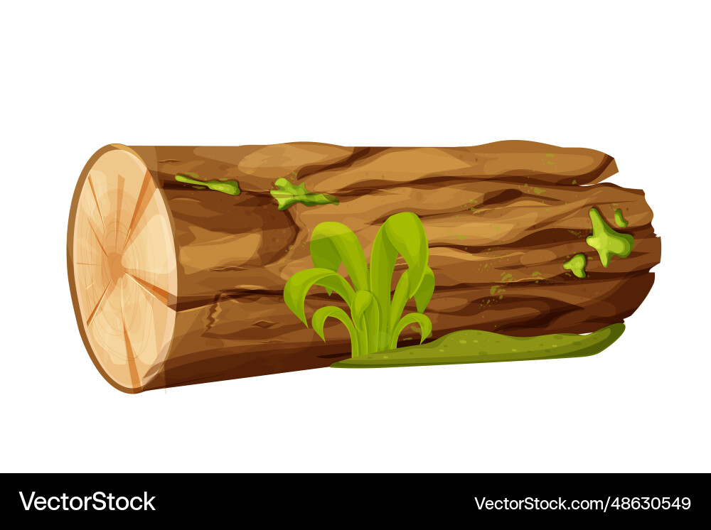 Mossy Tree Log with Grass Vector Image