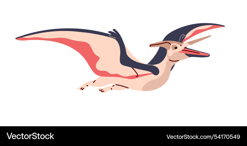 Pteranodon in the flight pterodactyl with open Vector Image