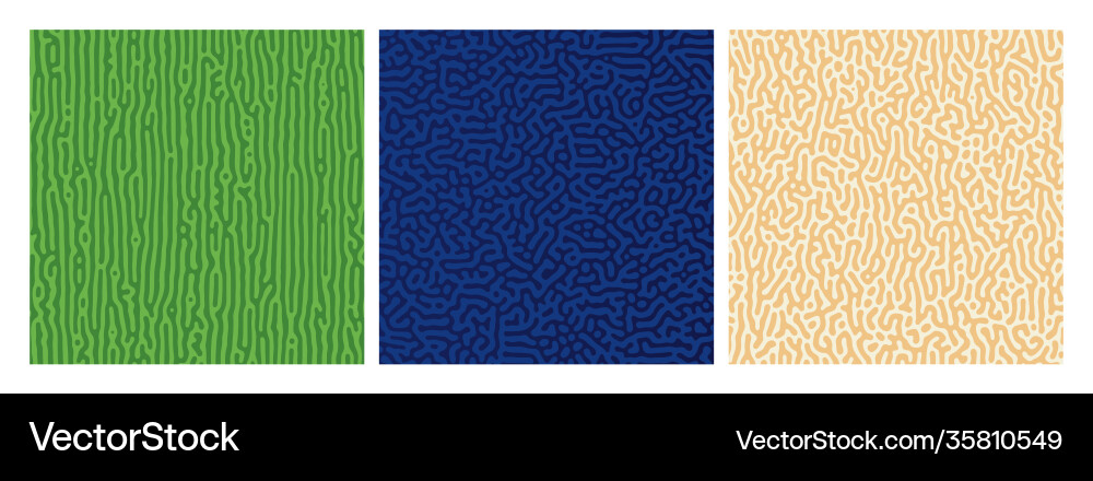 Set three colorful turing reaction gradient Set three colorful turing reaction gradient vector image