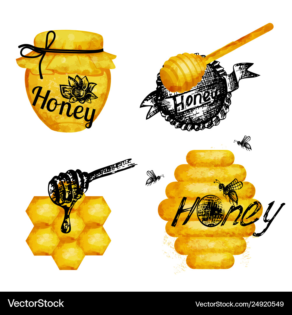 Watercolor icons honeycomb honey hand lettering Watercolor icons honeycomb honey hand lettering vector image