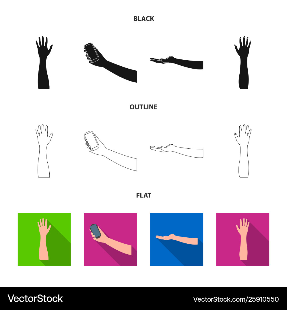 Isolated object and animated symbol collection Vector Image