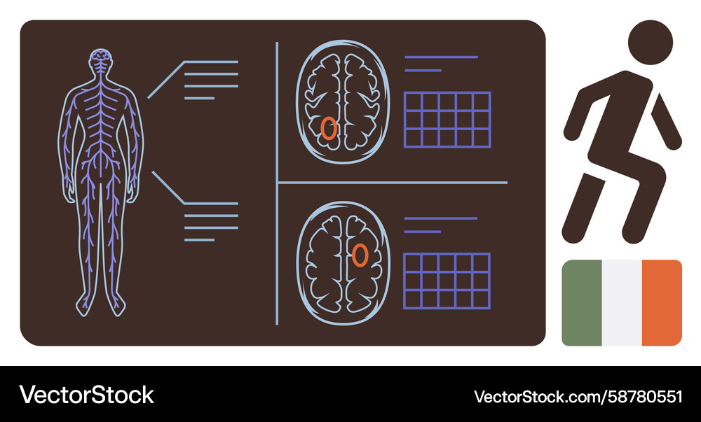 Brain Analysis with Movement & Data Vector Image