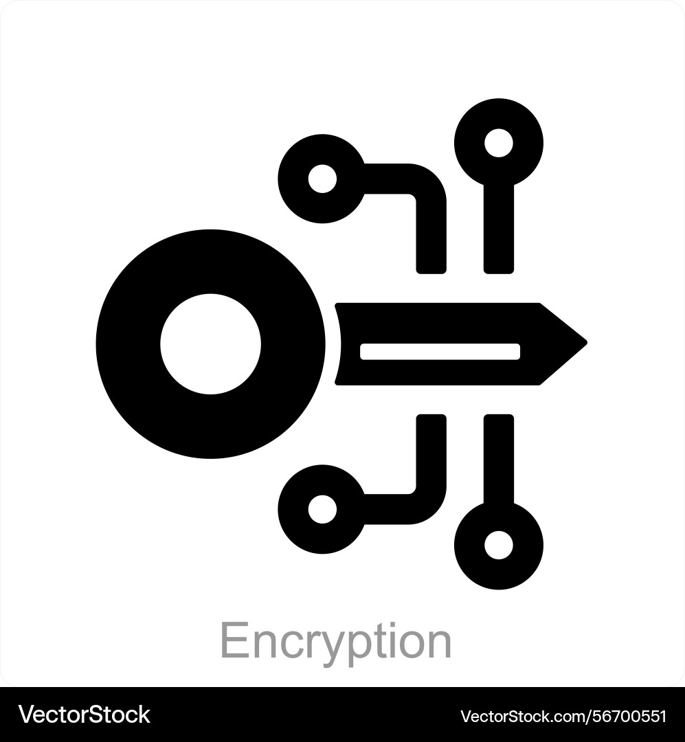 Encryption and data icon concept Vector Image