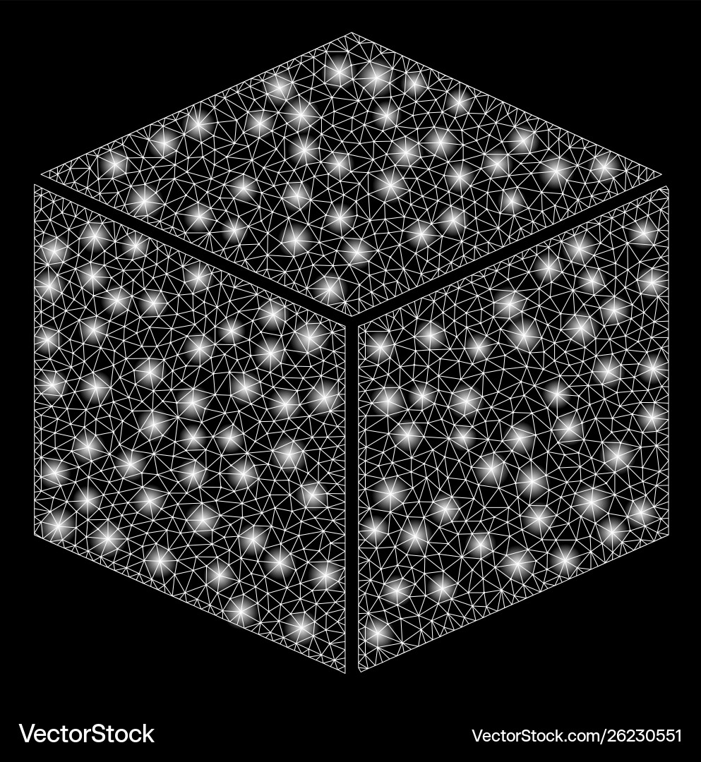 Flare mesh wire frame isometric cube with Flare mesh wire frame isometric cube with vector image