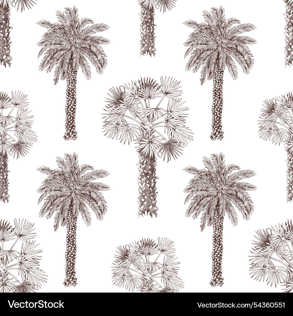Palm tree seamless pattern Vector Image