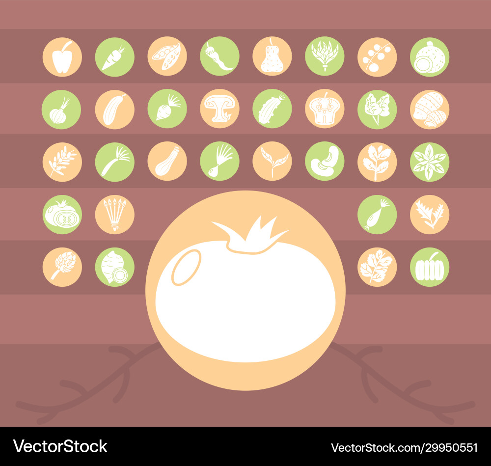 Tomaten und gesundes Gemüse-Symbol Block Tomaten und gesundes Gemüse-Symbol Block vektorbild