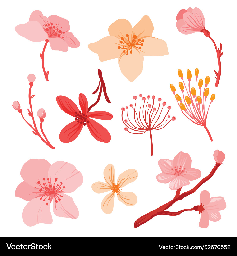 Cherry Blossom Set - Pink & White Vector Image