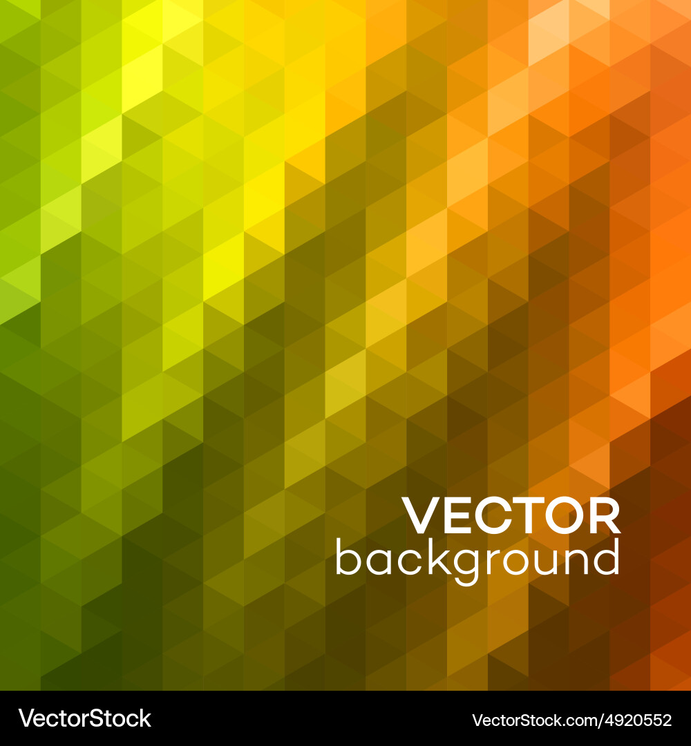Geometric Triangle Pattern vector image