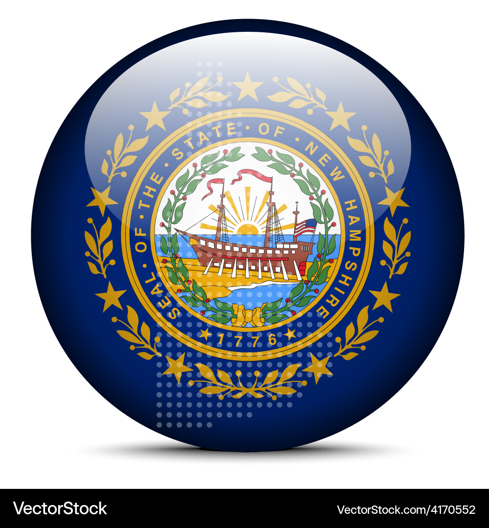 Map with dot pattern on flag button of usa new vector image