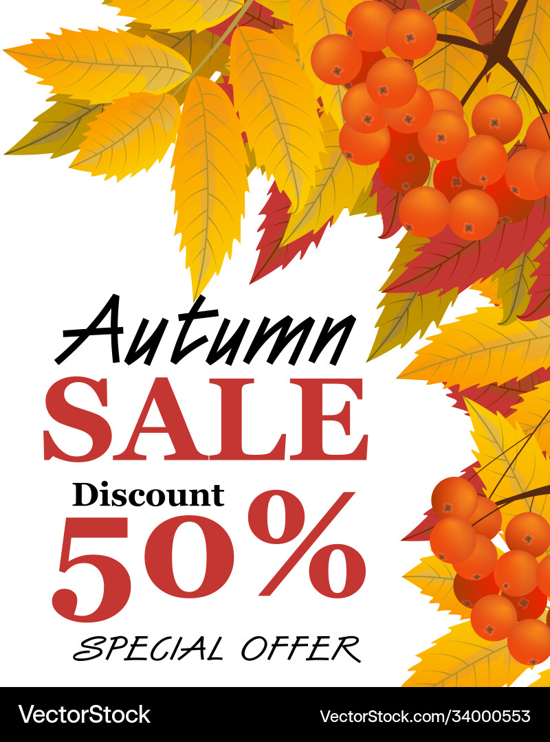 Autumn vertical background with branch rowan Autumn vertical background with branch rowan vector image