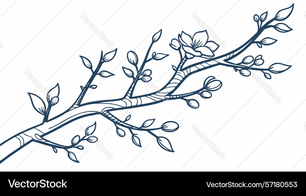 Stark bare tree branch outline graphic element vector image