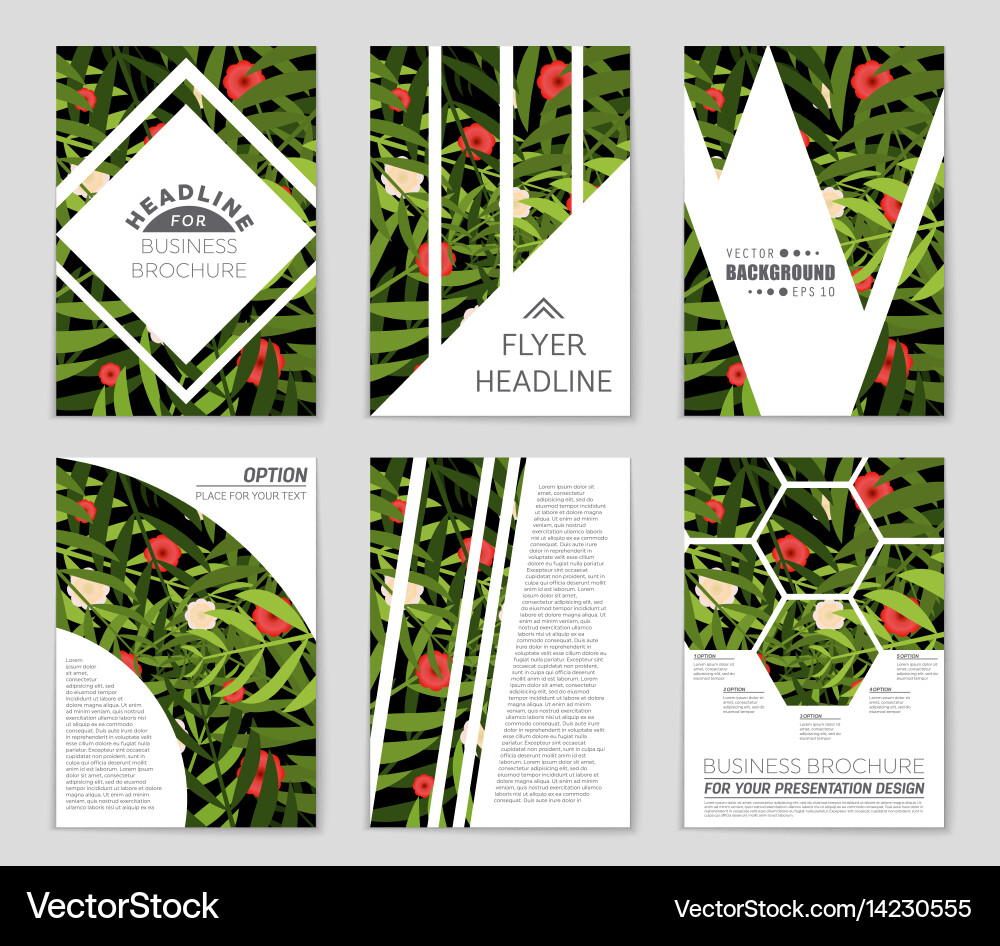 Abstract layout background set for art vector image